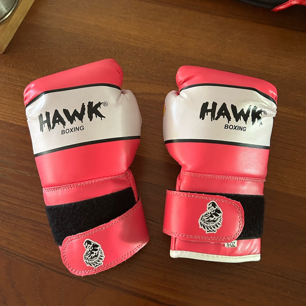 Kids Size 6oz Hawk boxing gloves